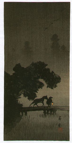 The Unknown in the dark!