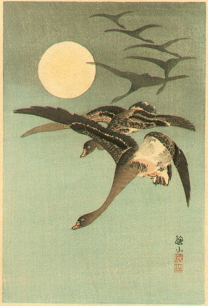 Flight formation